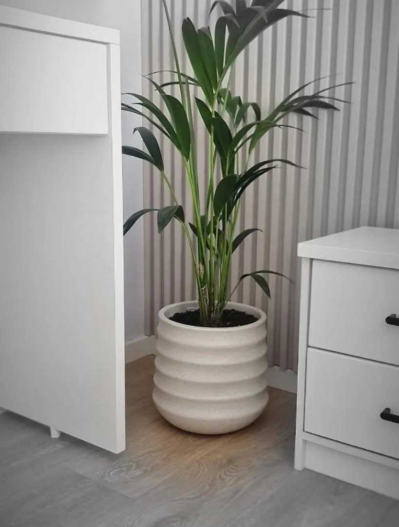 Abla'S Sweet Home Tirana